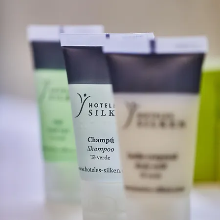 Dorma Sardinero 4* Santander